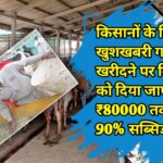 Animal Credit Card Scheme