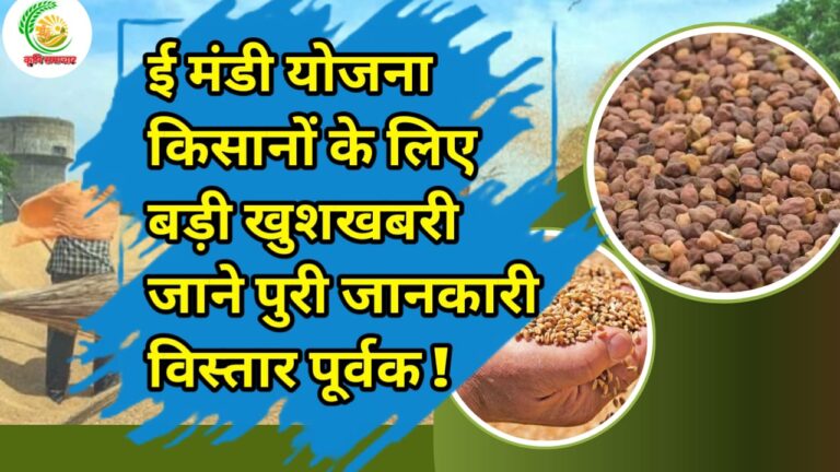 E Mandi Scheme