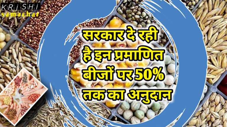 Seed Subsidy