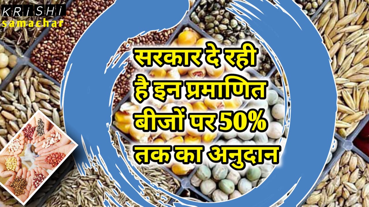 Seed Subsidy