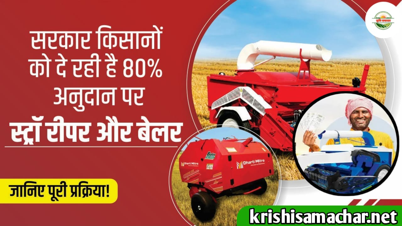 Subsidy Scheme