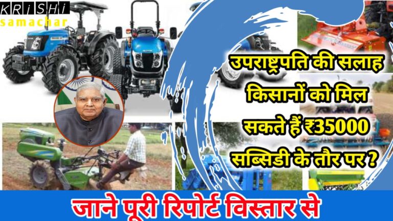 Fertilizer Subsidy